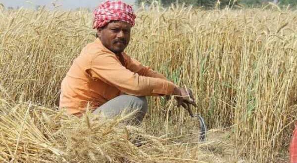 Maha Govt waives loans of 7 lakh farmers