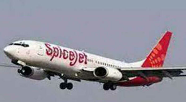 SpiceJet flies high on reporting over 2-fold jump in Q3 consolidated net profit