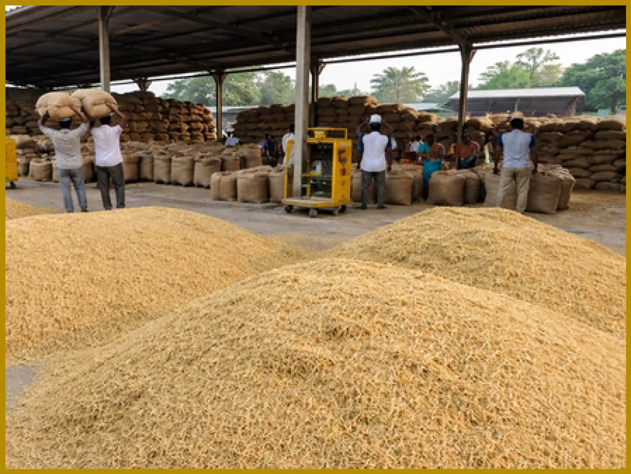 Tamil Nadu Tightens Paddy Procurement Monitoring in Delta Districts Amid Samba Harvest