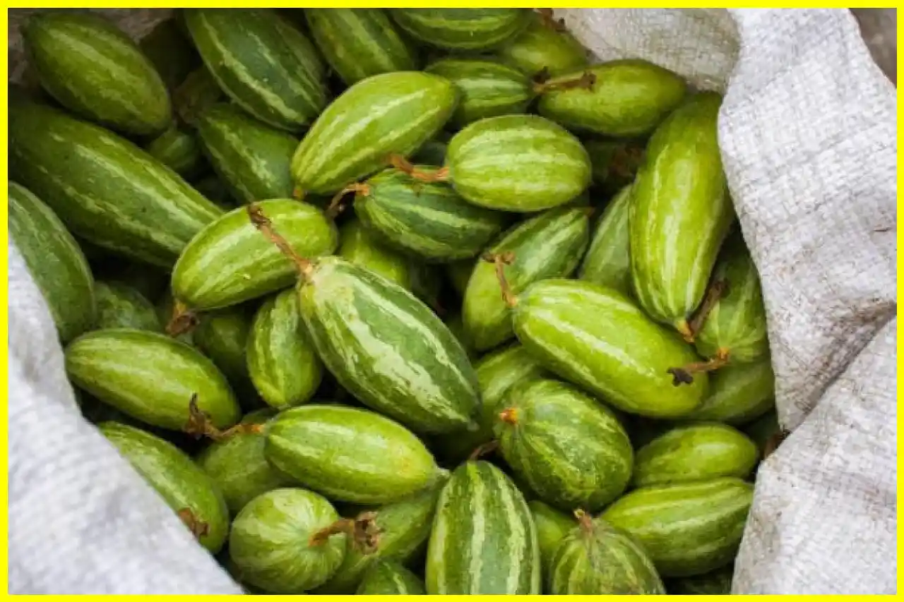 8 Indian Vegetables That Lower Blood Sugar for Diabetics