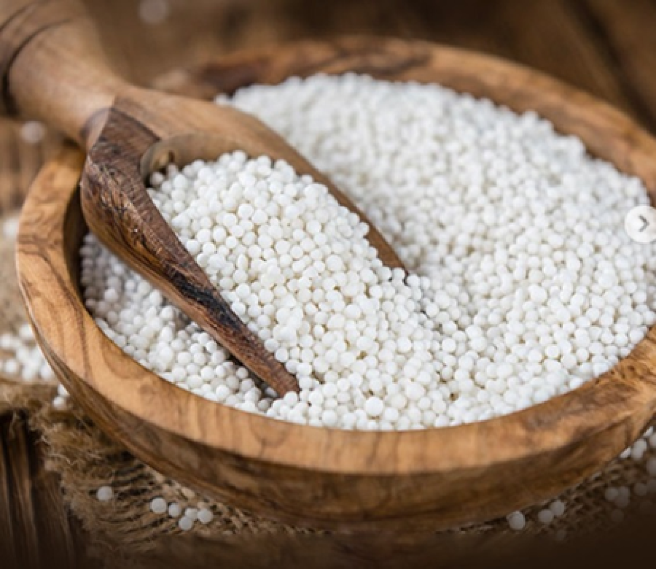 Navratri Special: Savor the Health Benefits of Sabudana During Fasting