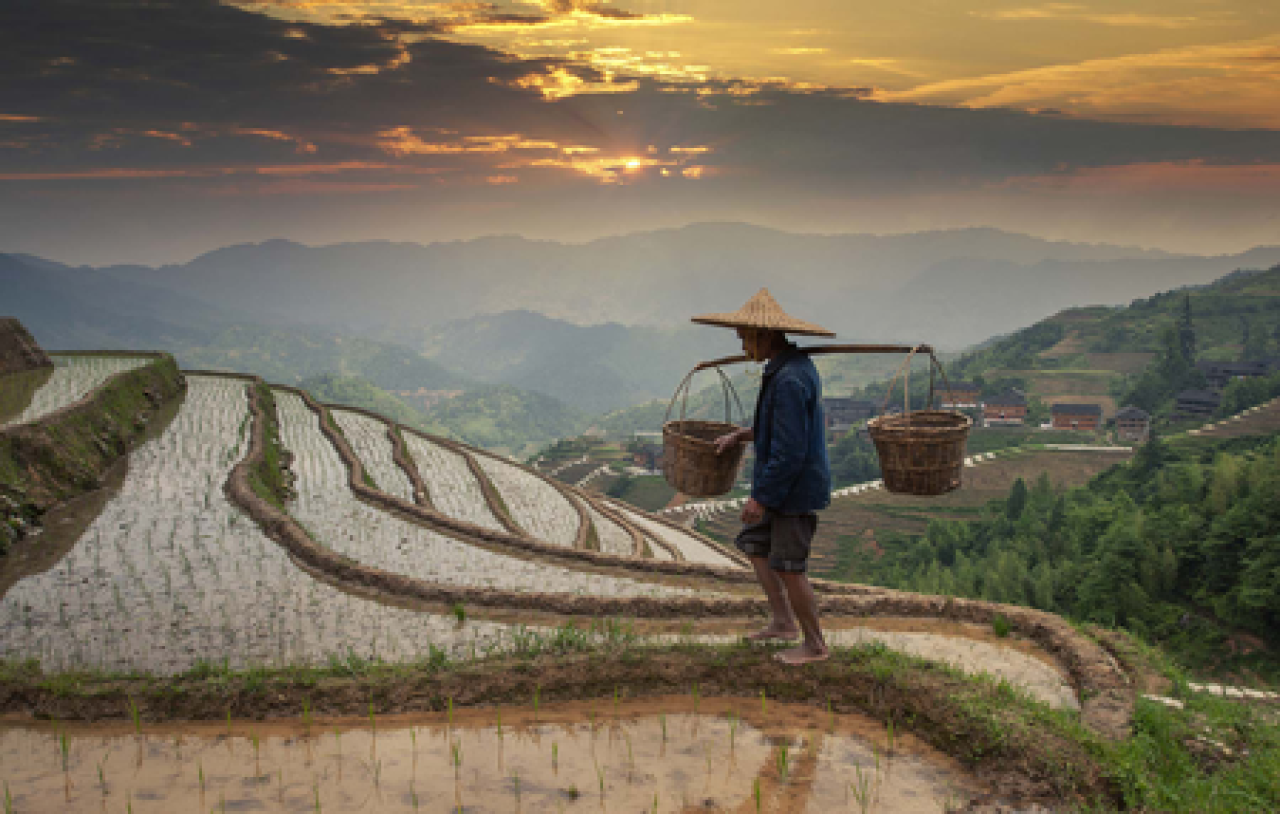 New Book Chronicles Xi Jinpings Historic Fight Against Poverty