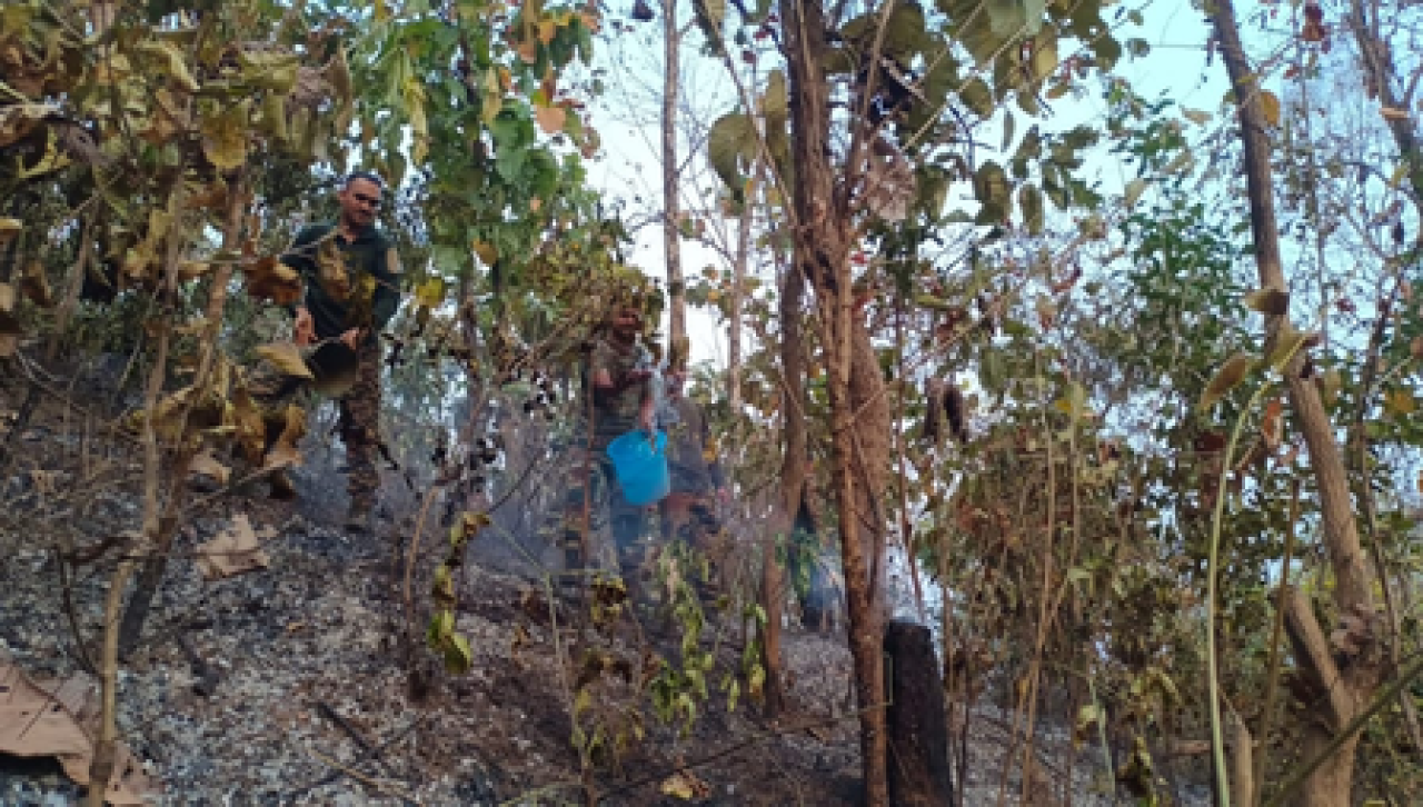 Residents Demand Halt to Sale of Forest Land in Auroville