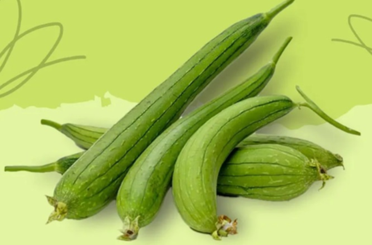 The Benefits of Ridge Gourd in Summer: A Natural Solution for Hydration and Digestion