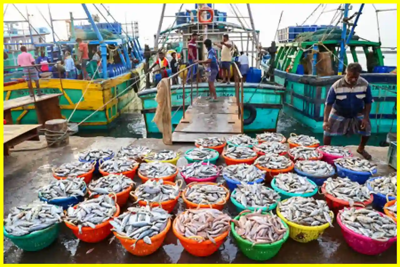 Indias Seafood Exports Surpass ₹72,000 Crore in FY26, Driven by Frozen Shrimp Demand