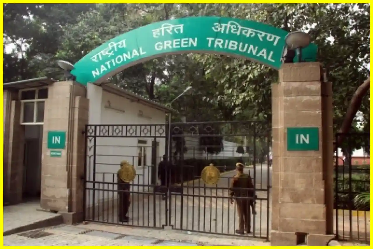 NGT Issues Notice to Authorities Over Untreated Sewage Flowing into Yamuna