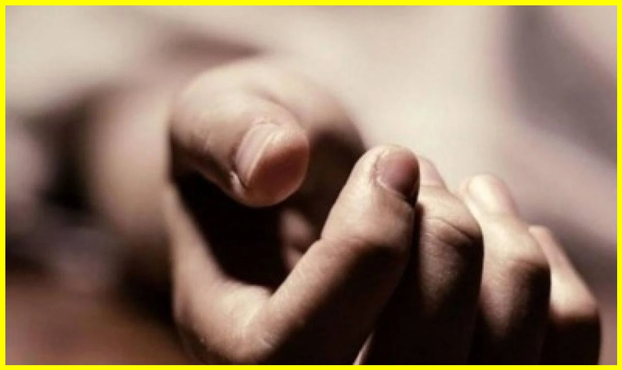 Shocking Knife Attacks in New Delhi: Elderly Man Killed, Woman Dies, Husband Seriously Injured