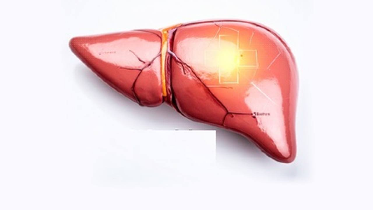 Sugar, Fast Food, and Oil: The Hidden Dangers to Liver Health