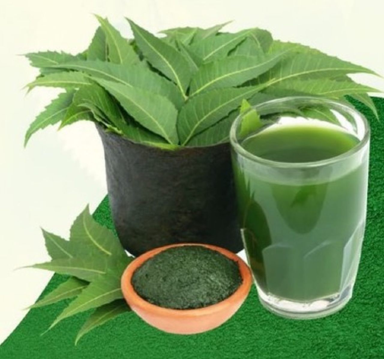 The Bitter Benefits of Neem: A Natural Shield for Liver Health