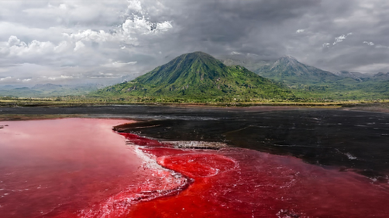 The Mysterious Lake Natron: A Dangerous Beauty in Tanzania