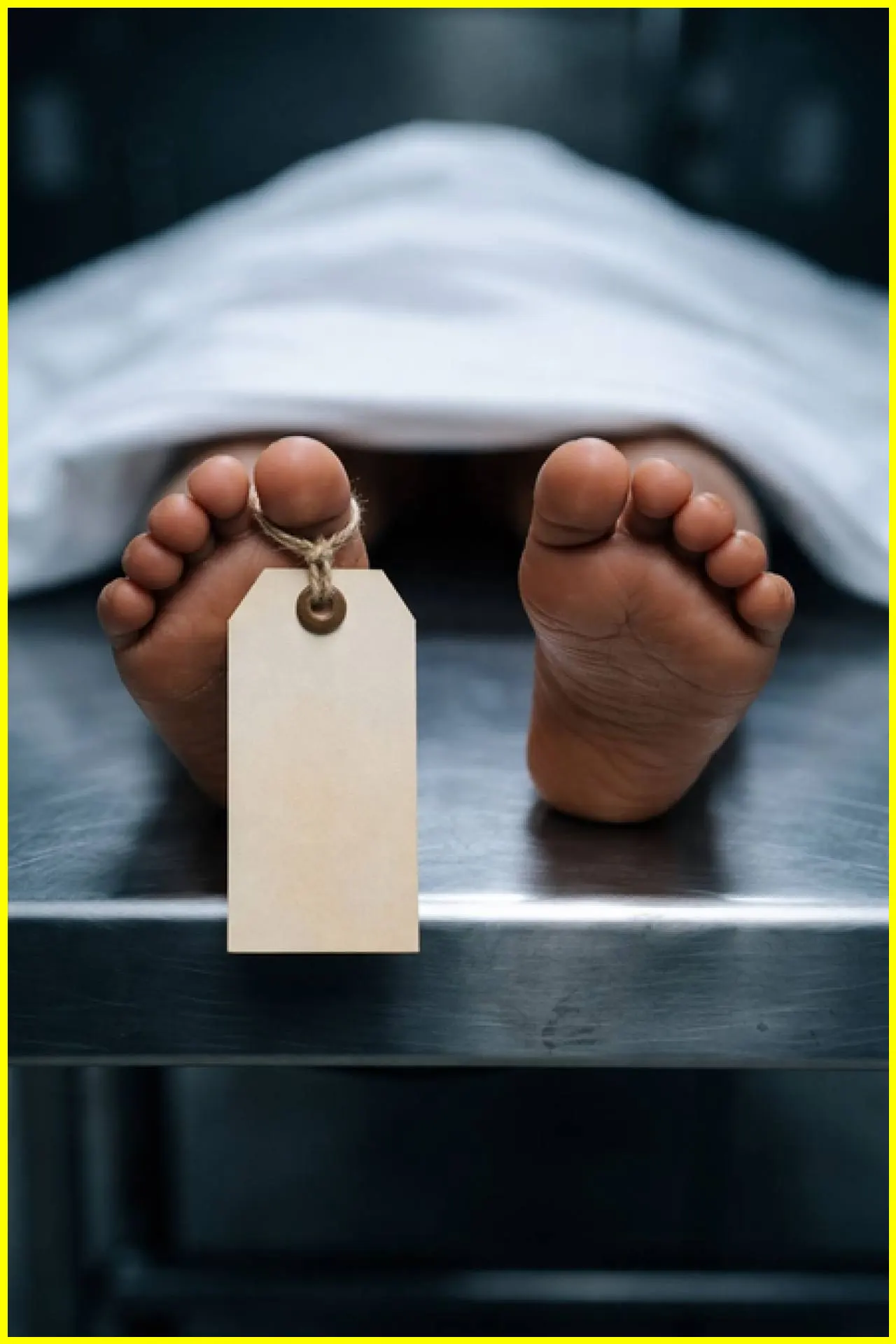 Tragic Incident in Thrissur: Child Dies from Snake Bite, Another Snake Found at Home