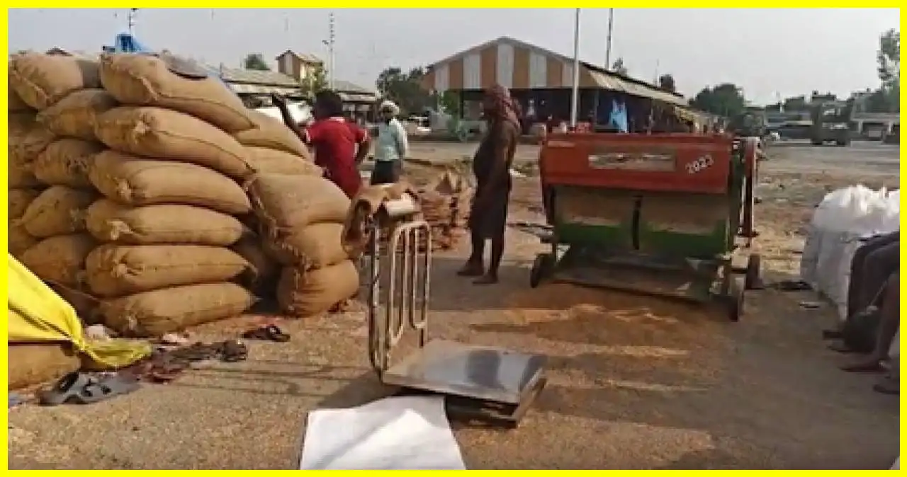 Uttar Pradesh Farmers Get Relief: Wheat Purchase Rules Relaxed for Unregistered Sales
