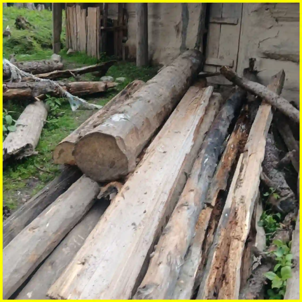 Seize Timber Major Police Operation in Pulwama: Illegal Timber Seized with Forest ...